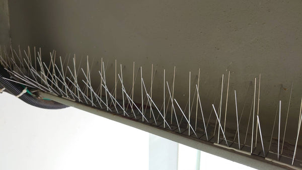 Metal spikes on a ledge against a plain background