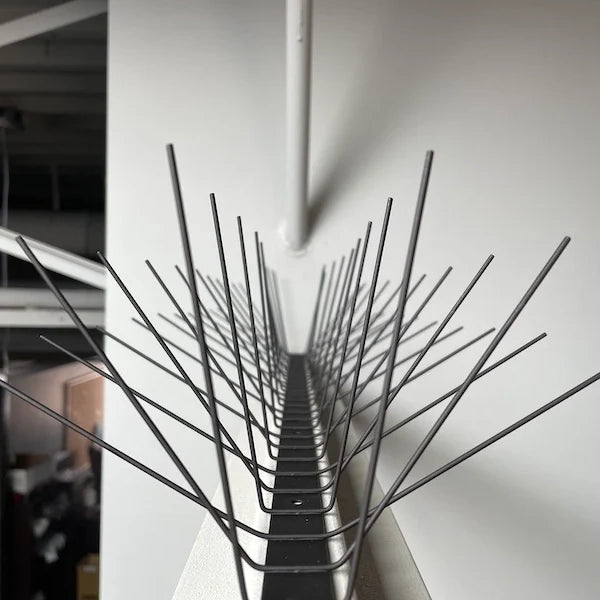 Stainless Steel Bird Spikes Extra Wide - Black