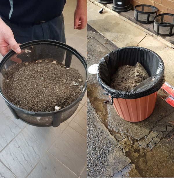 Pestrol Outdoor DOMINATOR Mosquito Trap