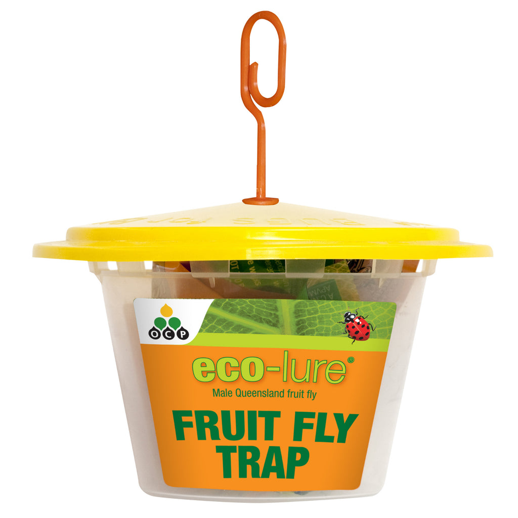 Eco-lure Fruit Fly Trap