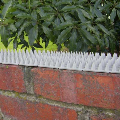 Fence & Wall Spikes - Flat Section