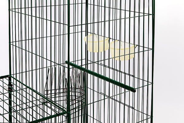 Mini Myna Magnet Trap