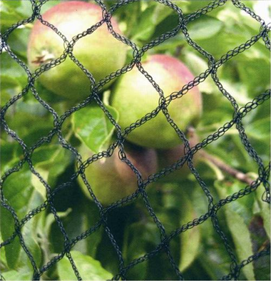 Bird Netting - Fruit Tree - BLACK