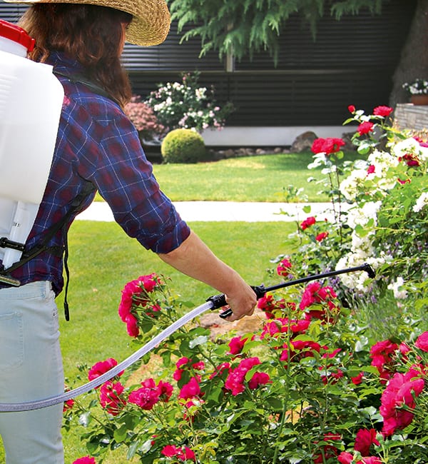 Solo 473D 12 Litre Professional Backpack Sprayer