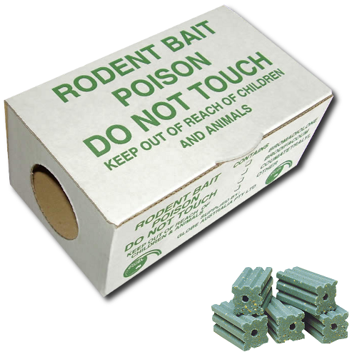 Cardboard Bait Box