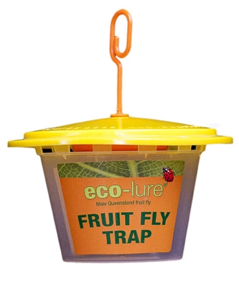 Eco-lure Fruit Fly Trap