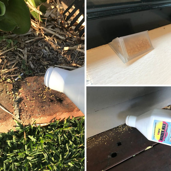 Ant Control Kit - Basic In Use