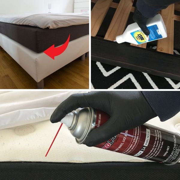 Bed Bug Control Kit - Basic Applications