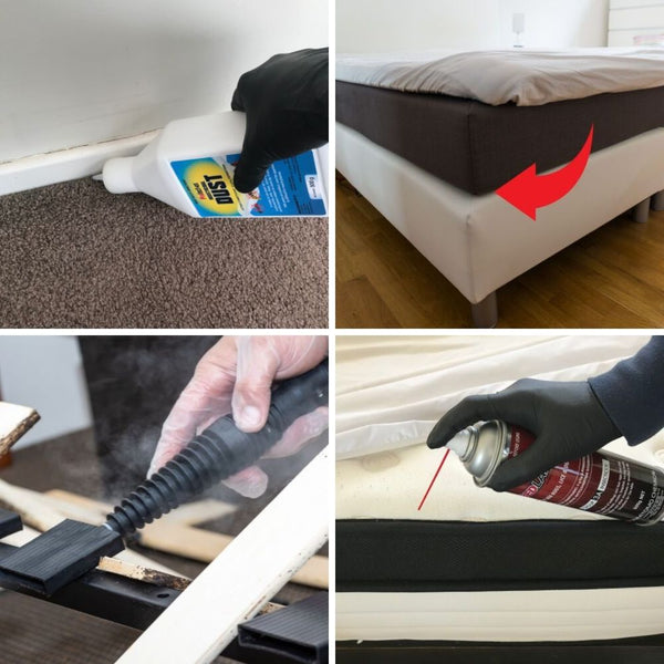 Bed Bug Control Kit - Deluxe Applications