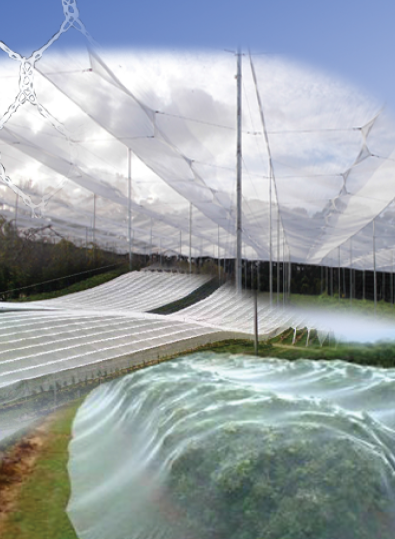 Bird Netting - Canopy - WHITE
