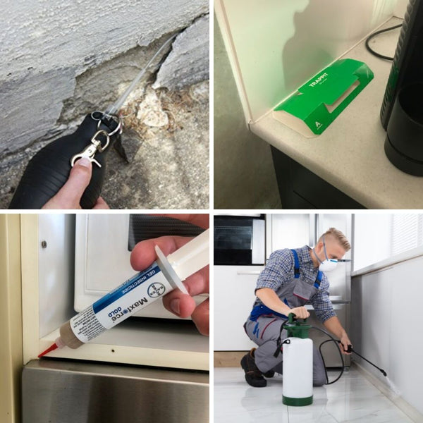 DIY Pest Control Kit - Deluxe Applications
