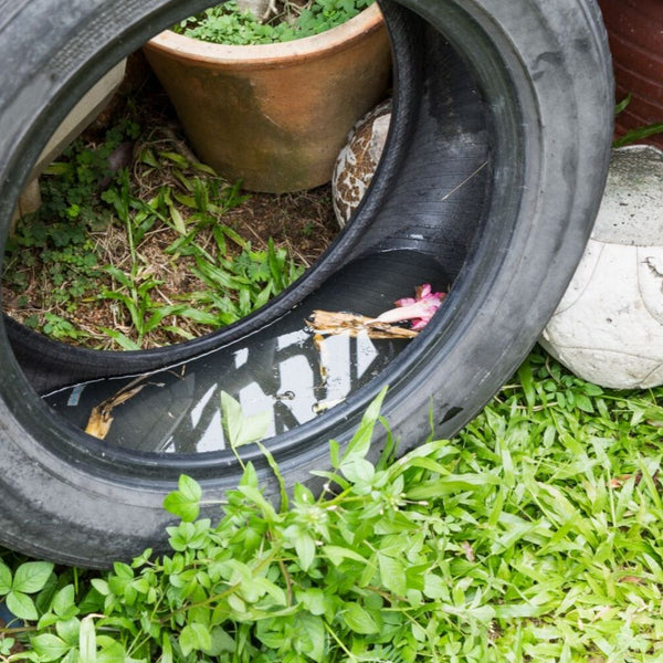 Envirosafe Mosquito Drops Car Tyre