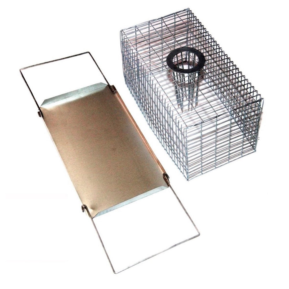 Large humane mouse outlet trap