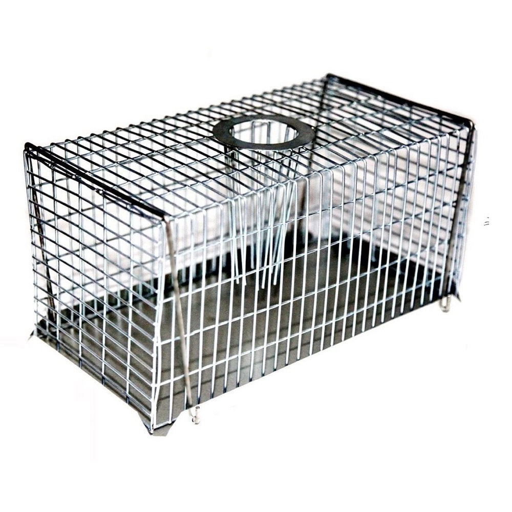 Large humane mouse trap hotsell
