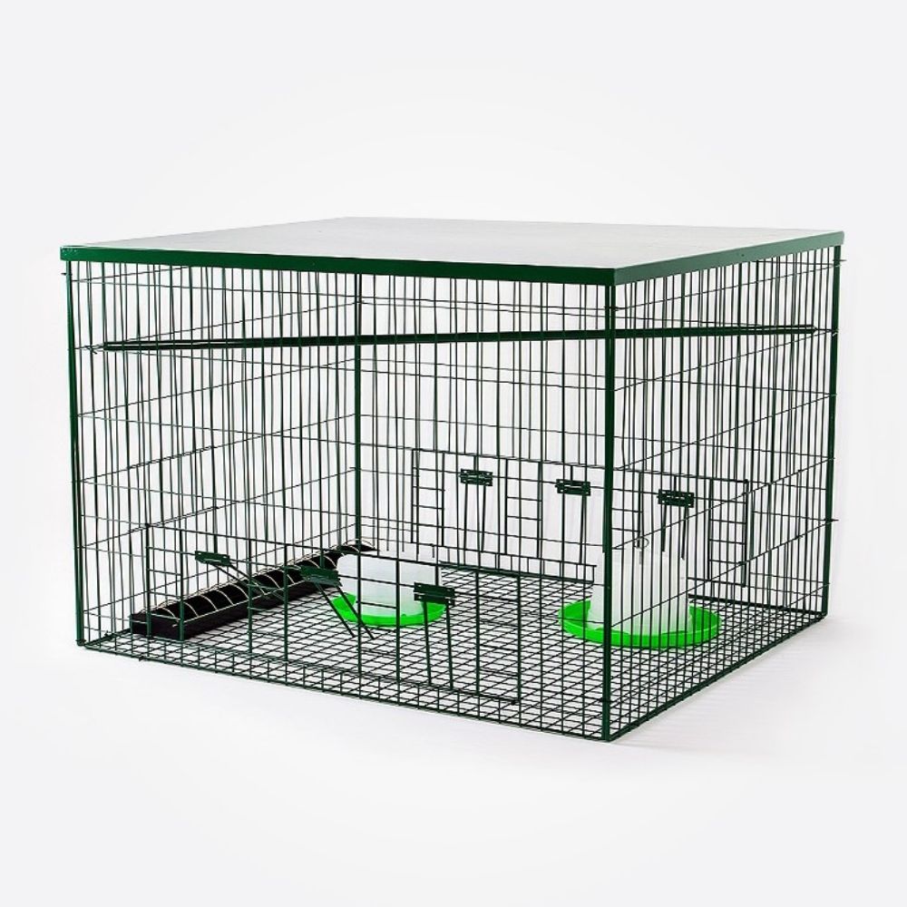 Pigeon Magnet Trap