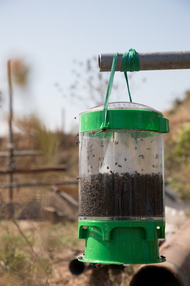 Commercial fly trap outlet