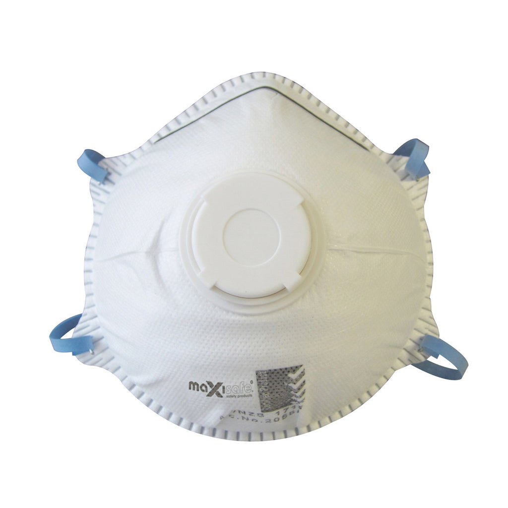 P2 Respirator Mask