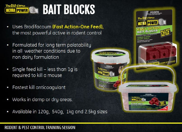 The Big Cheese Ultra Power Fast Action Bait Blocks 120g