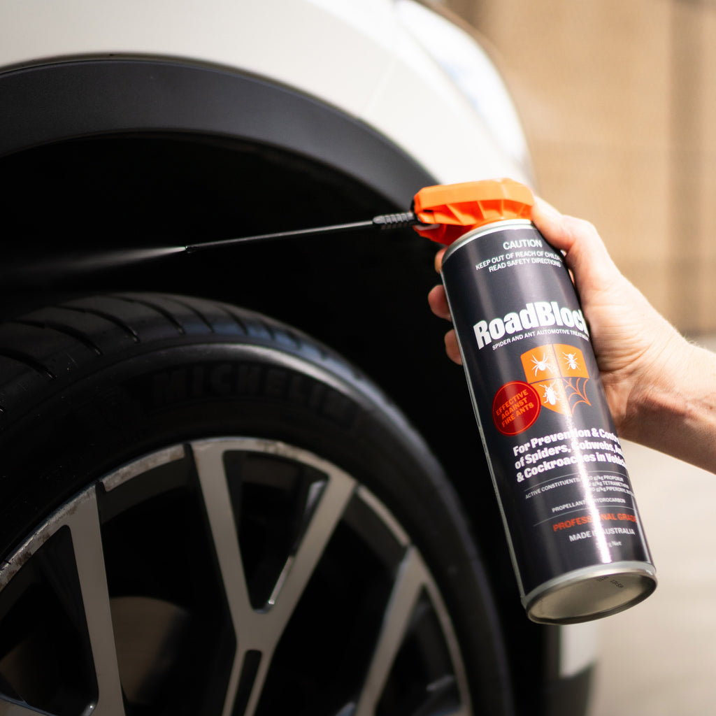 How to Get Rid of Ants in a Car: Quick and Effective Tips