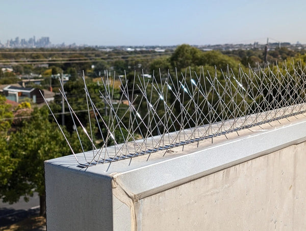Stainless Steel Cockatoo Spikes - Ultra Dense