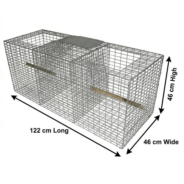 Larsen Bird Trap