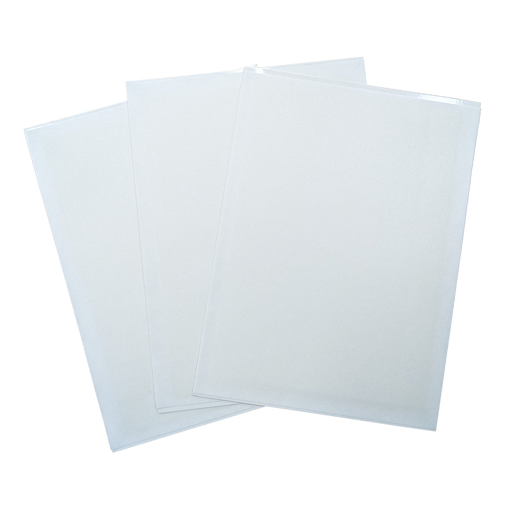 Scout Decorative Fly Killer - Glueboards