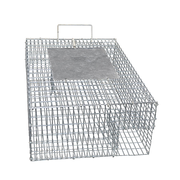 Sparrow Bird Trap