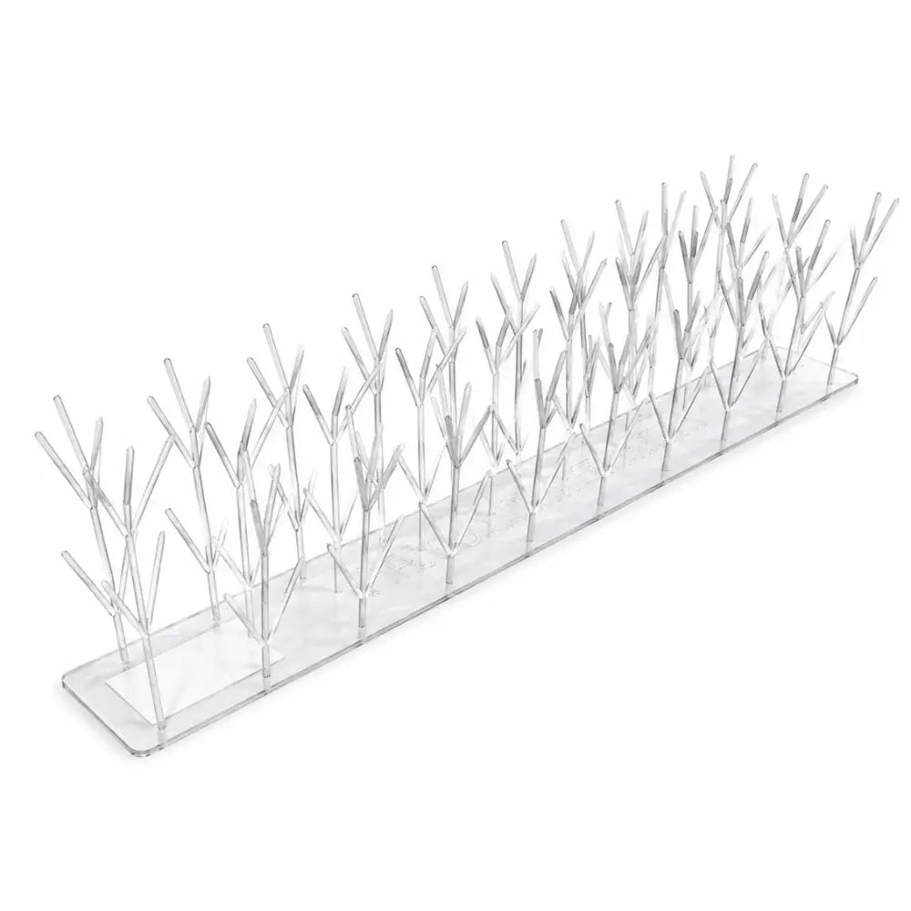 Thorny Devil Bird Spikes