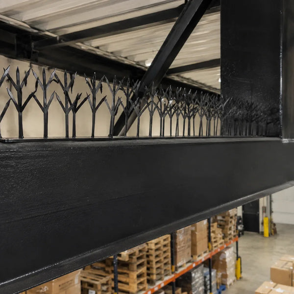 Thorny Devil Bird Spikes - Black