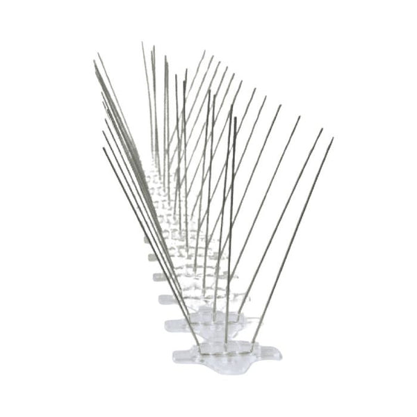 Bird spike on a white background