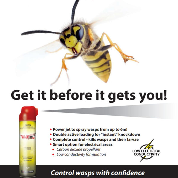 Wasp spray product with a wasp illustration and promotional text on a white background