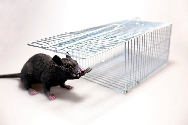 Humane Rat & Mouse Trap