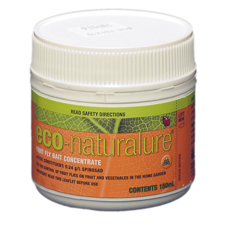 Eco-Naturalure Fruit Fly Bait 