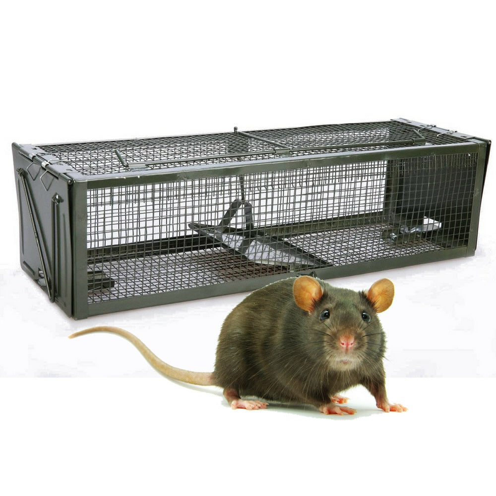 The better store rodent trap