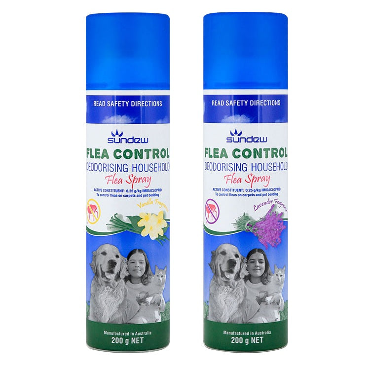 Homemade flea spray for carpet discount and furniture