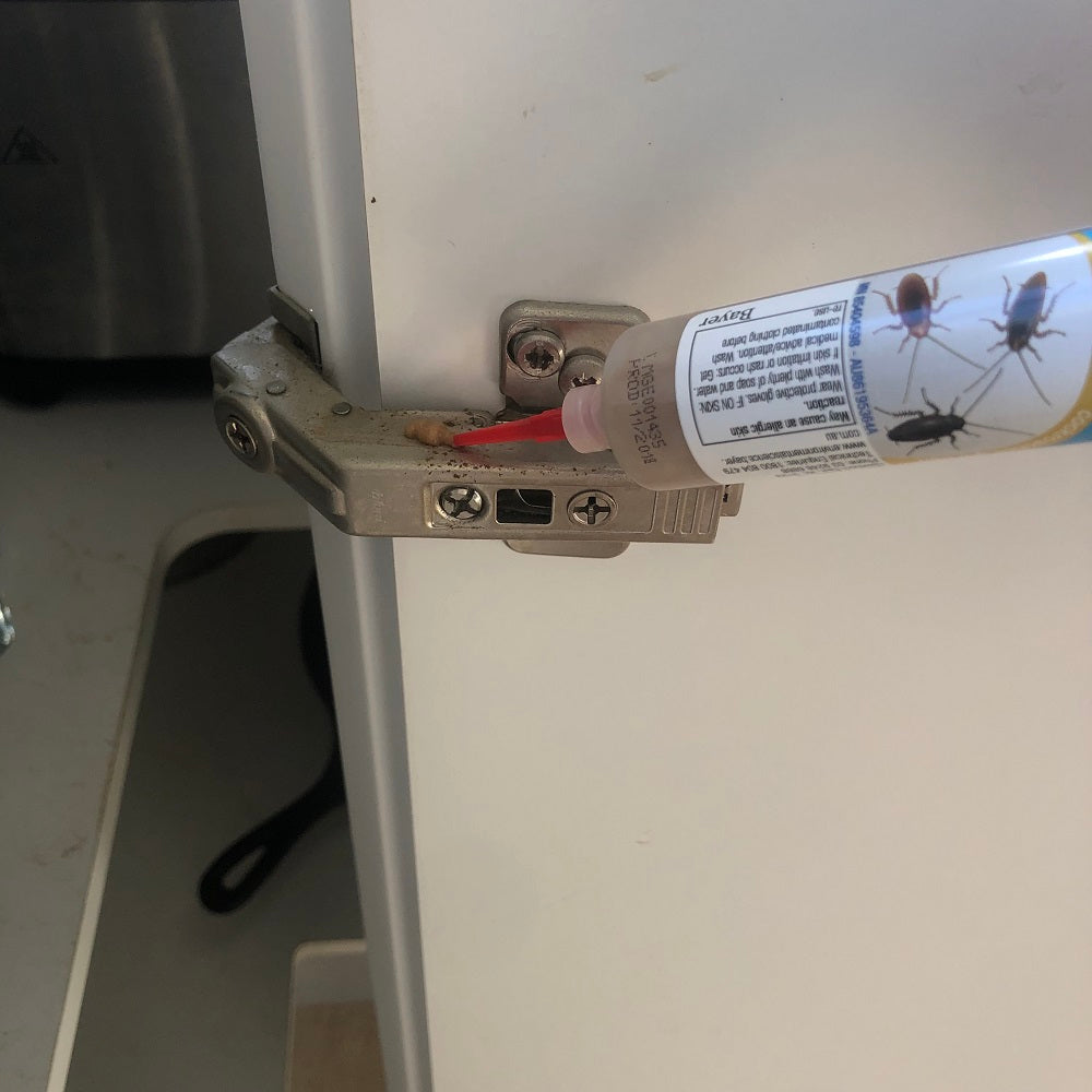 Cockroach Control Kit | DIY | Traps | Bait | Insecticide | BUY ONLINE ...