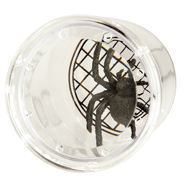 Bug Jar