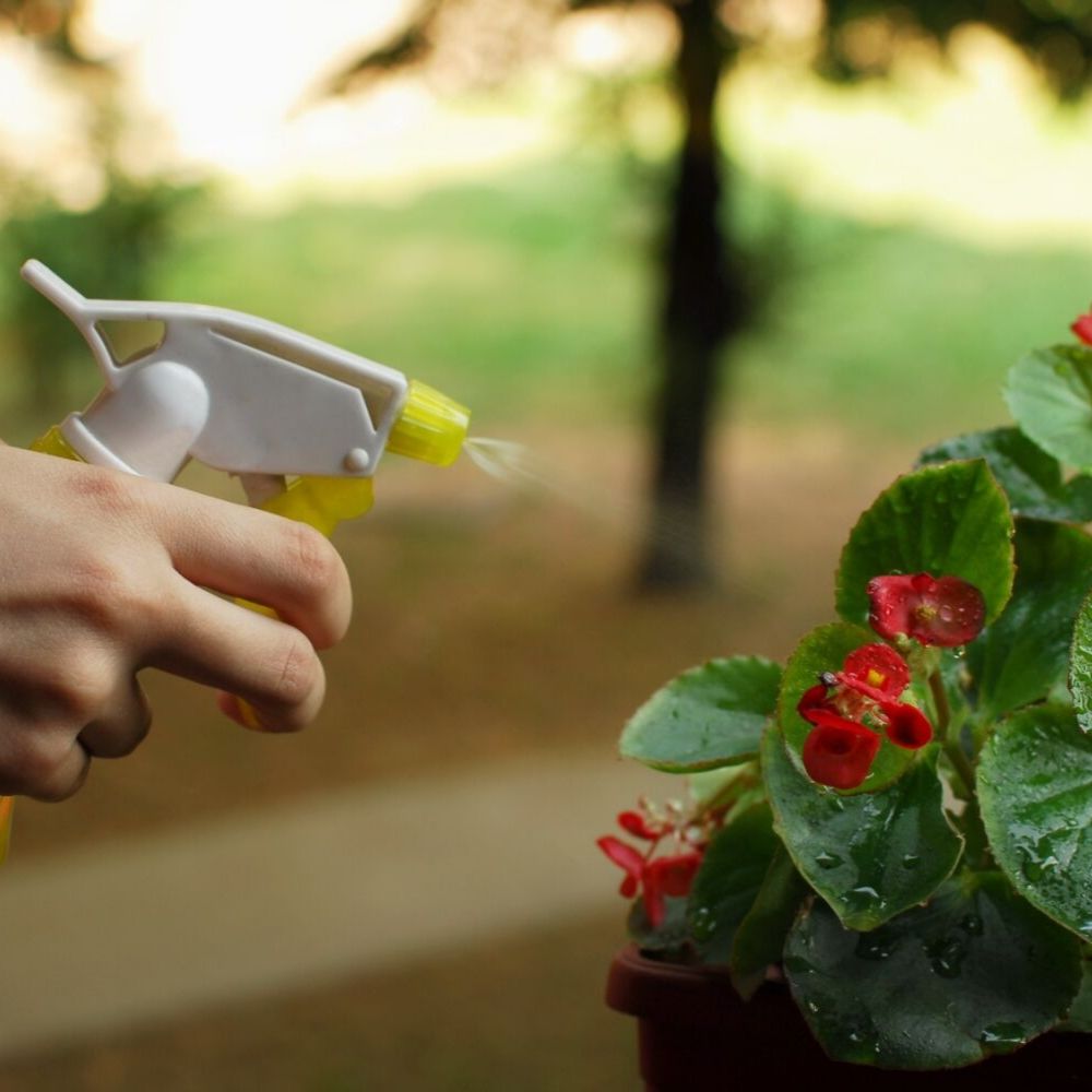 DTer Animal Bird Repellent 100g Possum Repellent BUY ONLINE