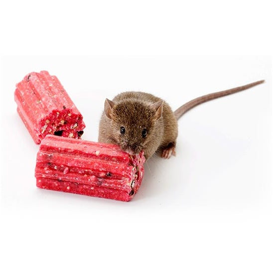Protecta Evo Edge Rat Bait Station Tamper Resistant