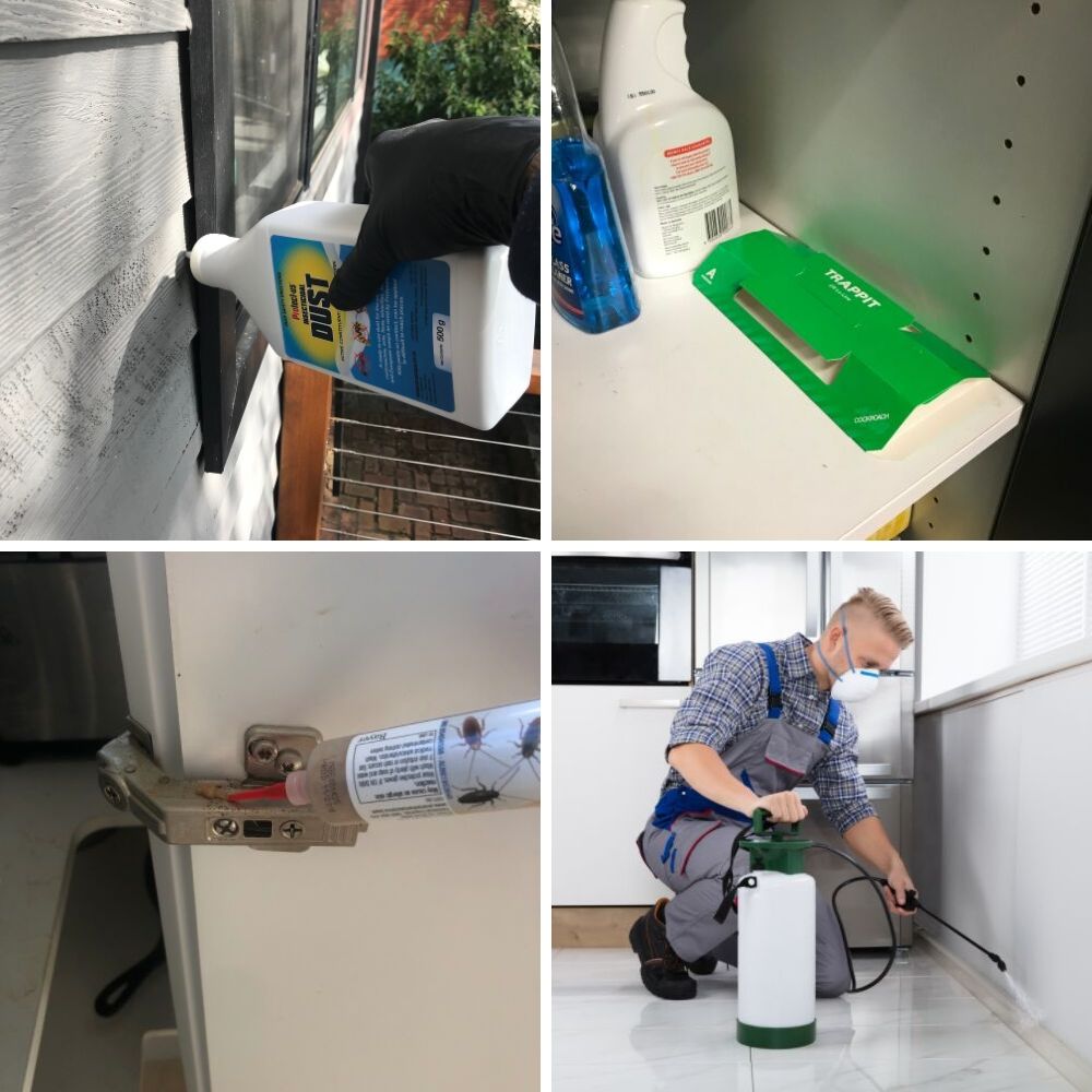 Pest Control Setup DIY Basic Pest Control Kit | Spray, Dust, Traps & Bait | BUY ONLINE ...