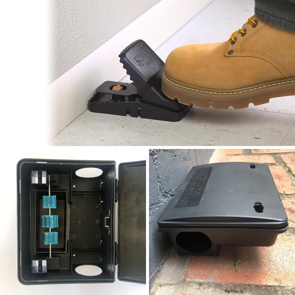 DIY Rat Control Kit with bait & Traps BUY ONLINE Easy Pest Supplies