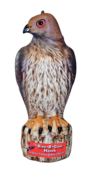 Hawk Bird & Rodent Scarer