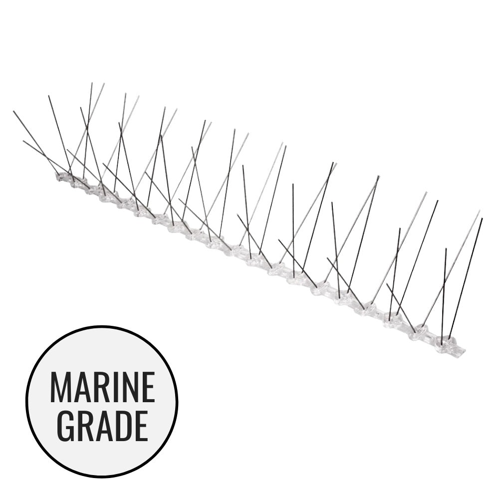 Anti Bird Spikes - Marine Grade