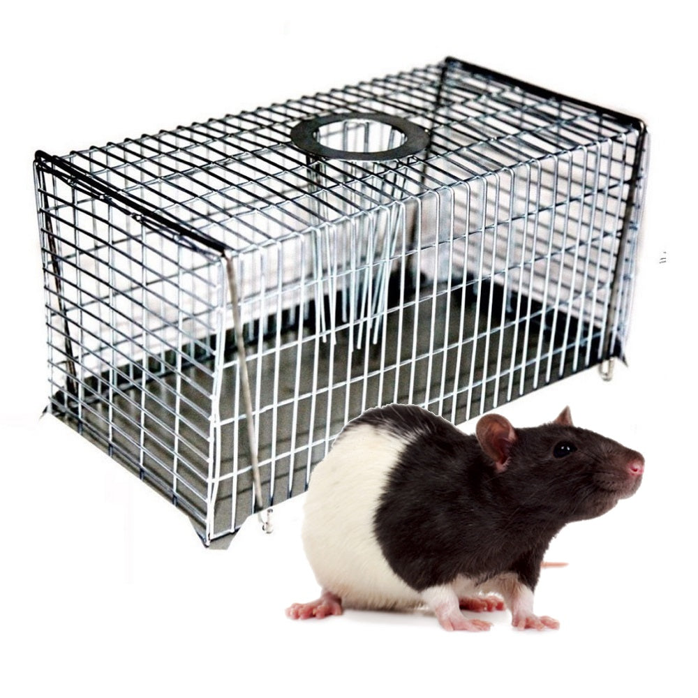 Multiple mouse trap store