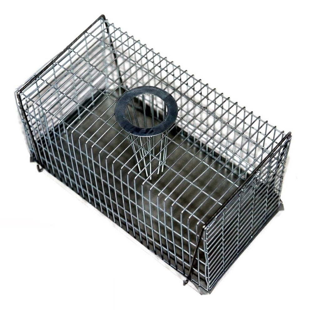 Large mouse 2025 trap