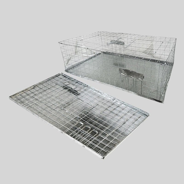 Foldable Pigeon Trap