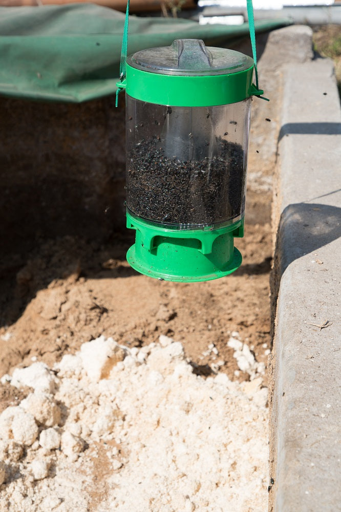 Outdoor shop fly traps