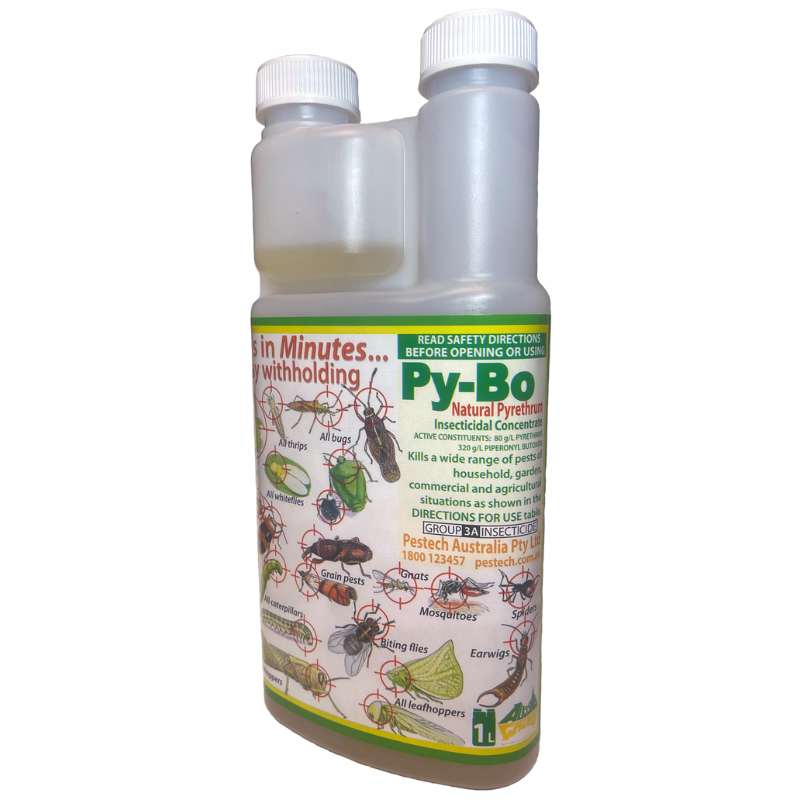 Py-Bo Natural Pyrethrum Insecticidal Concentrate | BUY ONLINE – Easy ...