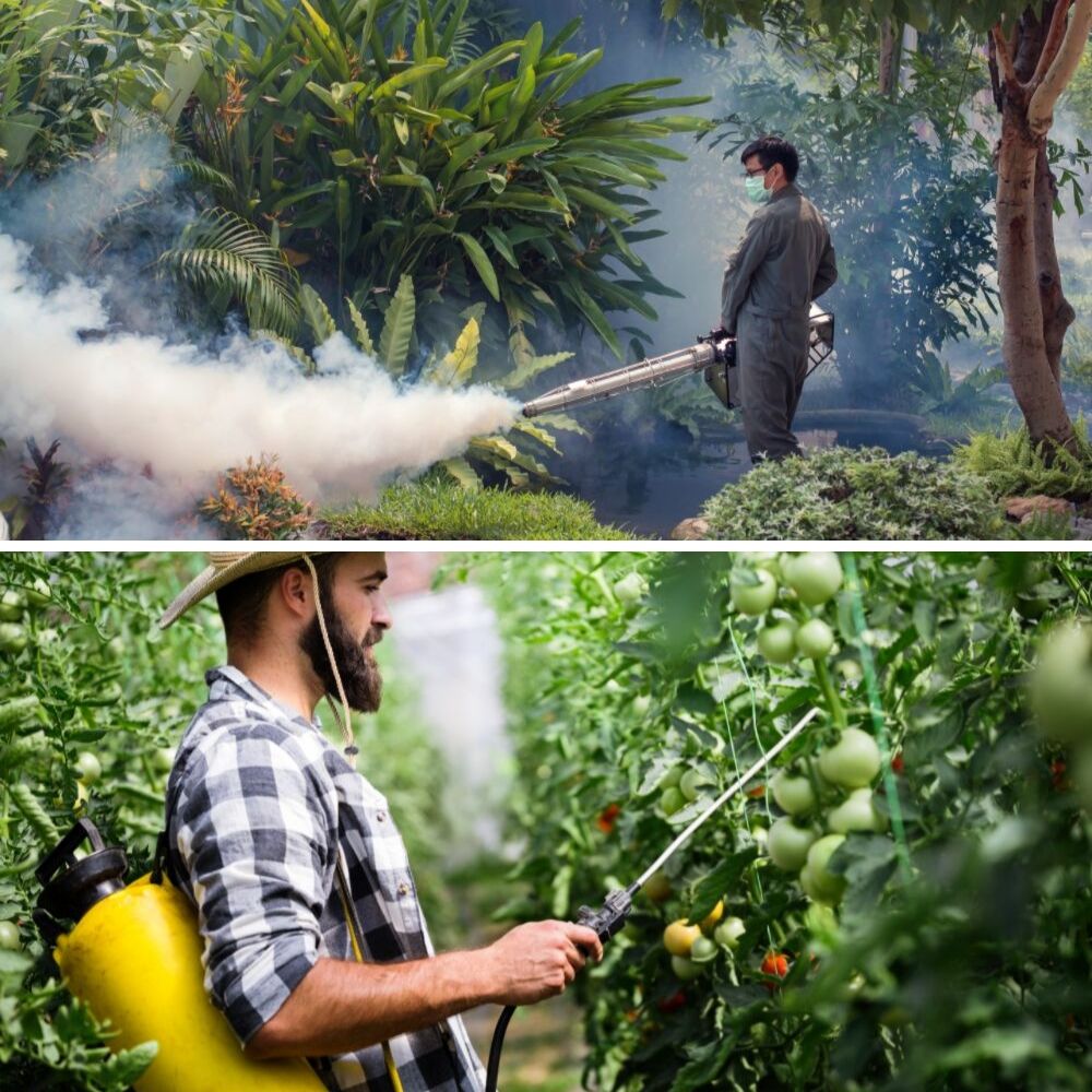 Py-Bo Natural Pyrethrum Insecticidal Concentrate | BUY ONLINE – Easy ...