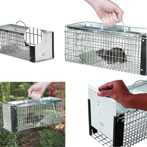 Single Catch Rat Trap | Humane | Foot Plate Activated | BUY ONLINE ...